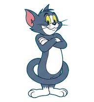 A Tom desktop pet preview